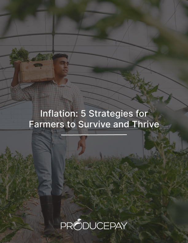 inflation-5-strategies-for-farmers-to-survive-and-thrive